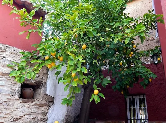 La Perra Gorda Holiday home *